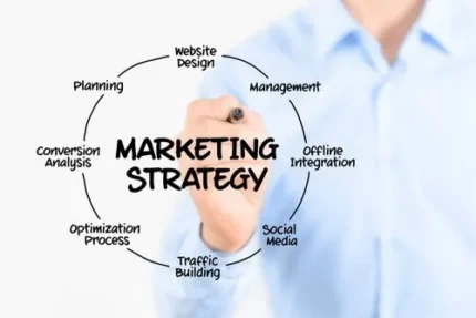 Marketing Strategy Consultation